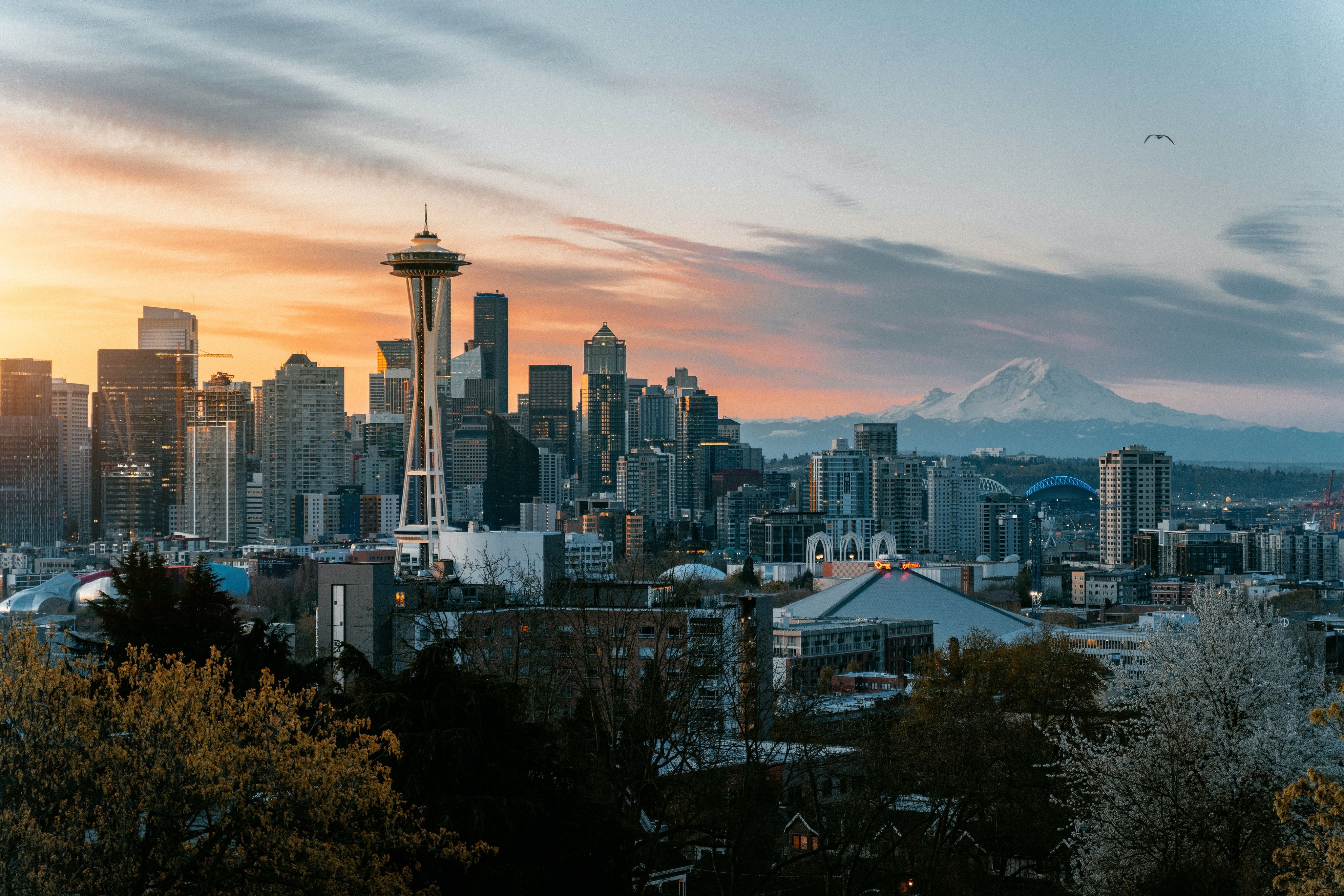 high rise buildings during daytime